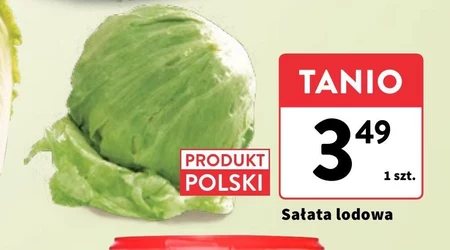 Sałata lodowa Polski