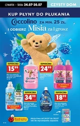 Biedronka - Wielka wyprzedaż produktów
