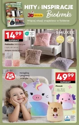 Biedronka - Wielka wyprzedaż produktów