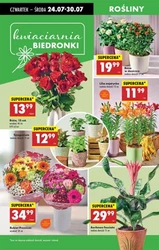 Biedronka - Wielka wyprzedaż produktów