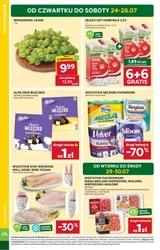 Stokrotka Market - Włochy od kuchni