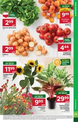 Stokrotka Market - Włochy od kuchni