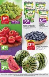 Stokrotka Express - Nowe promocje 