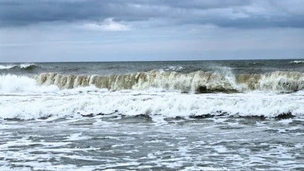 Jak powstaje prąd wsteczny? 