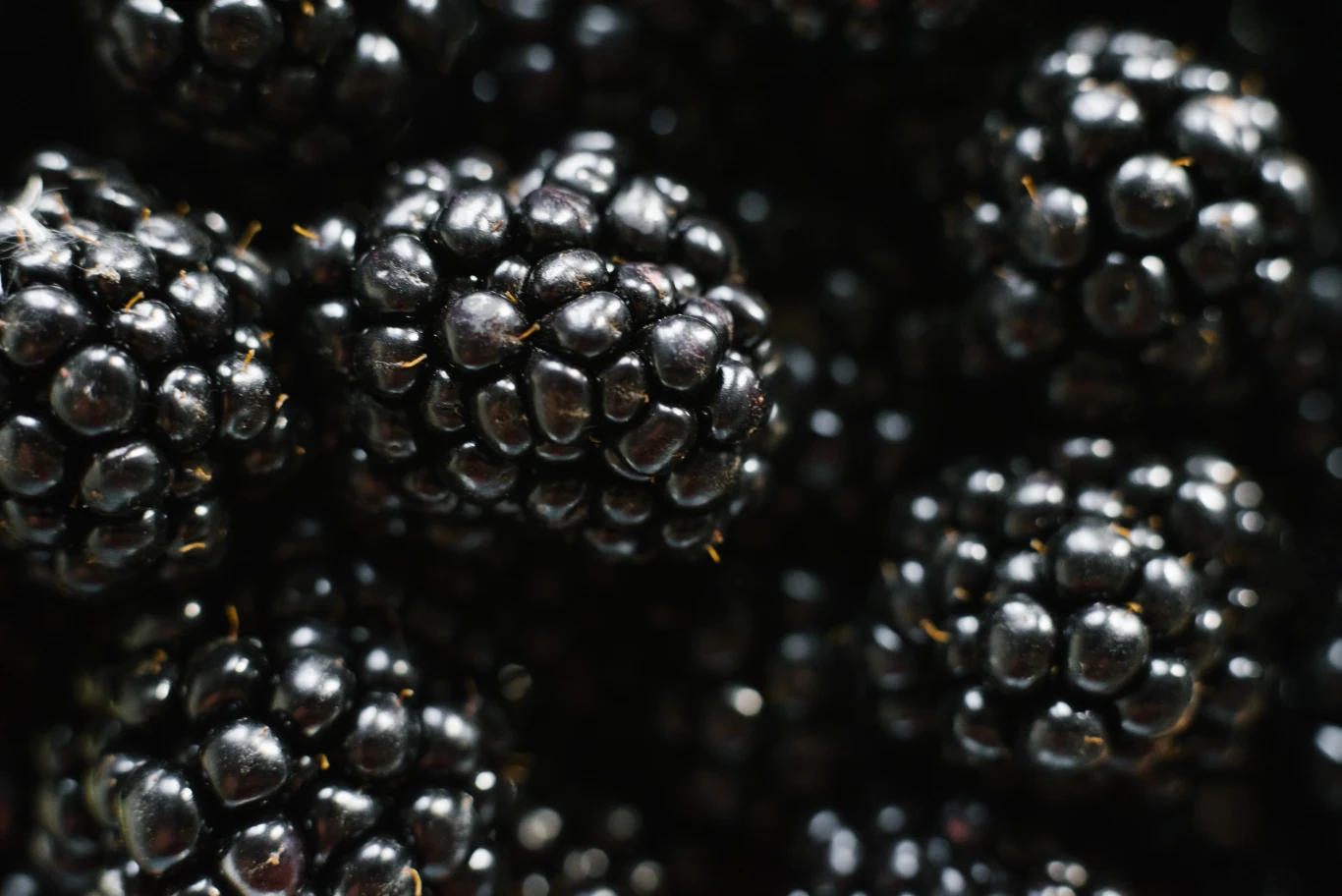 Dlaczego warto jeść jeżyny? Dlaczego warto jeść jeżyny?