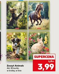 Zeszyt Animals