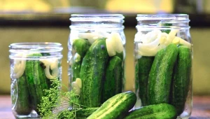 Do kotletów, pieczonego mięsa i pasztetu. Te ogórki zawsze się sprawdzą