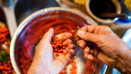 Dlaczego warto jeść owoce jarzębiny? To świetne źródło witamin i antyoksydantów.