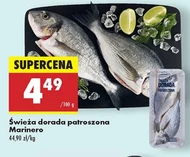 Дорадо Marinero