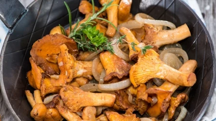 Kurki świetnie smakują w wersji smażonej na maśle klarowanym 