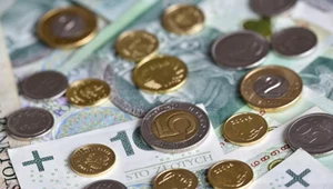 Napływają wnioski o 300 zł. ZUS przypomina, do kiedy składać