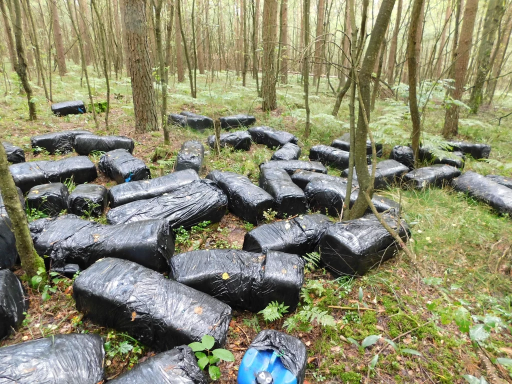 Czarne worki foliowe oraz kilka niebieskich kanistrów porozrzucane w lesie, wśród drzew i roślinności, wskazujące na porzucenie śmieci w środowisku naturalnym.