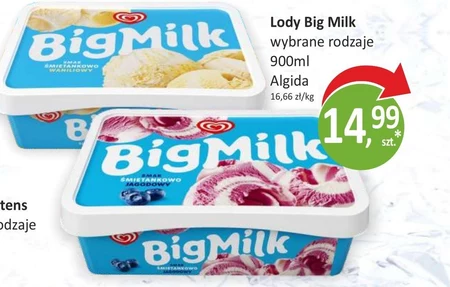 Lody Big Milk