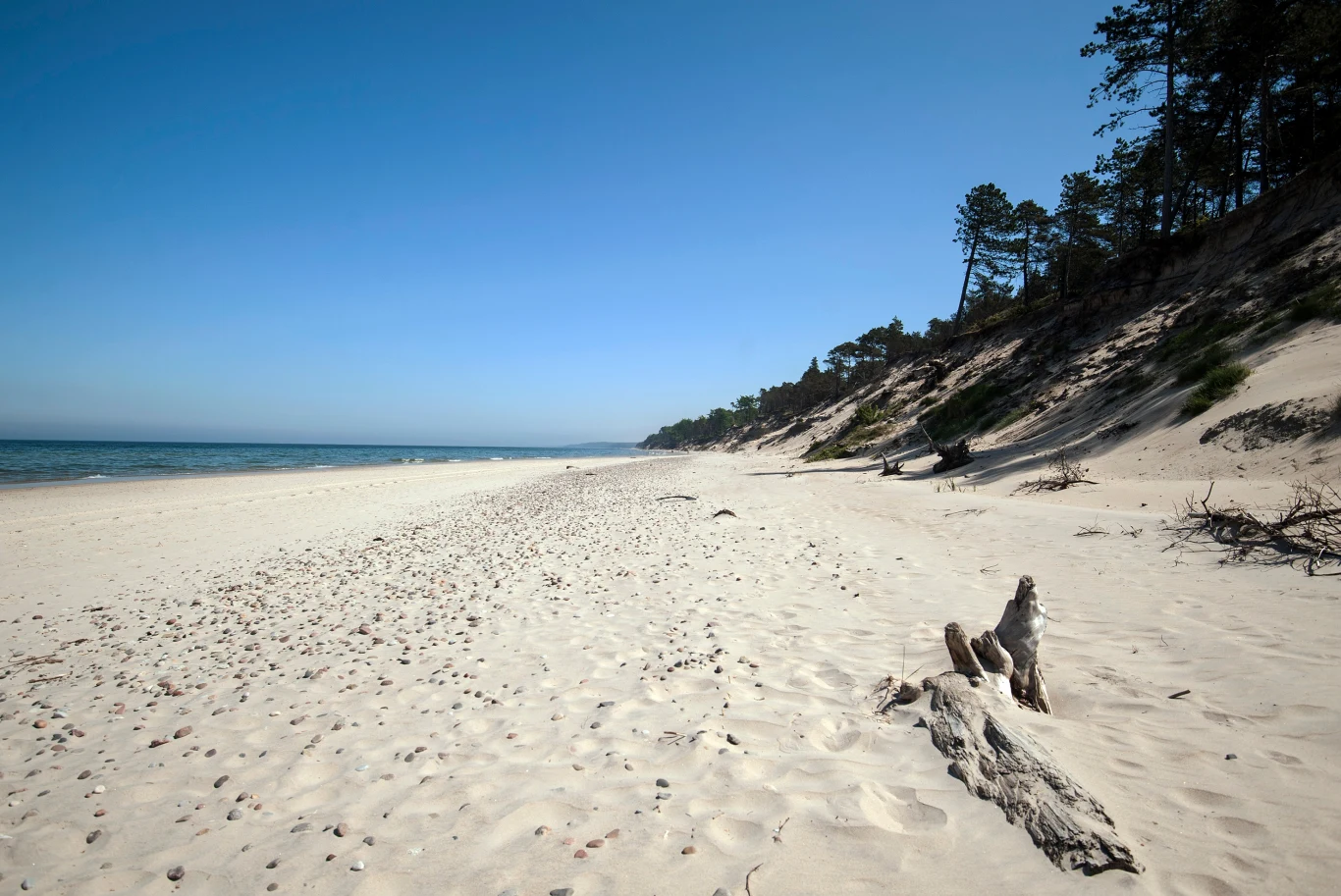 Szeroka piaszczysta plaża z dala od tłumów. Dąbkowice zapewnią wymarzony letni odpoczynek Szeroka piaszczysta plaża z dala od tłumów. Dąbkowice zapewnią wymarzony letni odpoczynek