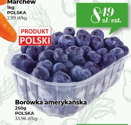 Чорниця