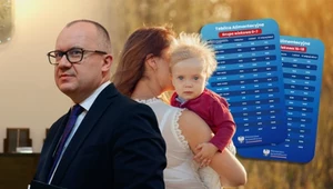 Iskrzy po ujawnieniu tablicy alimentacyjnej. "Musimy dać sądom swobodę"