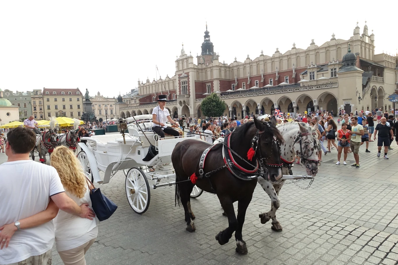 Turyści z Wielkiej Brytanii uważają, że przejazdy dorożkami w Krakowie są za drogie. Zwracają też uwagę na dobrostan zwierząt. Turyści z Wielkiej Brytanii uważają, że przejazdy dorożkami w Krakowie są za drogie. Zwracają też uwagę na dobrostan zwierząt.