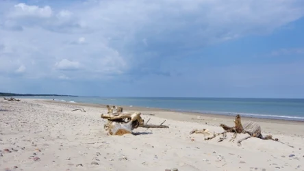 Plaża w Ulini zachwyca miękkim piaskiem i dzikością. Co wiadomo na jej temat?