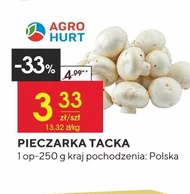 Гриби