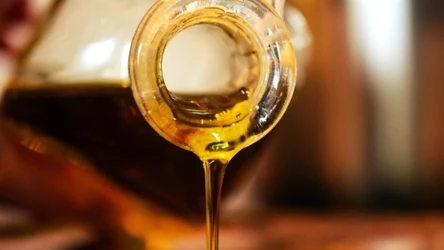 Używany regularnie poprawia pamięć i wzrok.