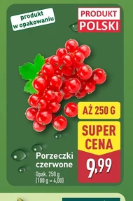 Porzeczki