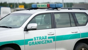 Kontrole na polskich granicach. Podano najnowsze statystyki
