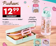Lunchbox Pusheen