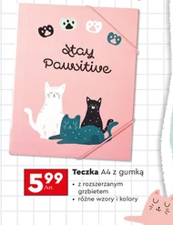 Teczka