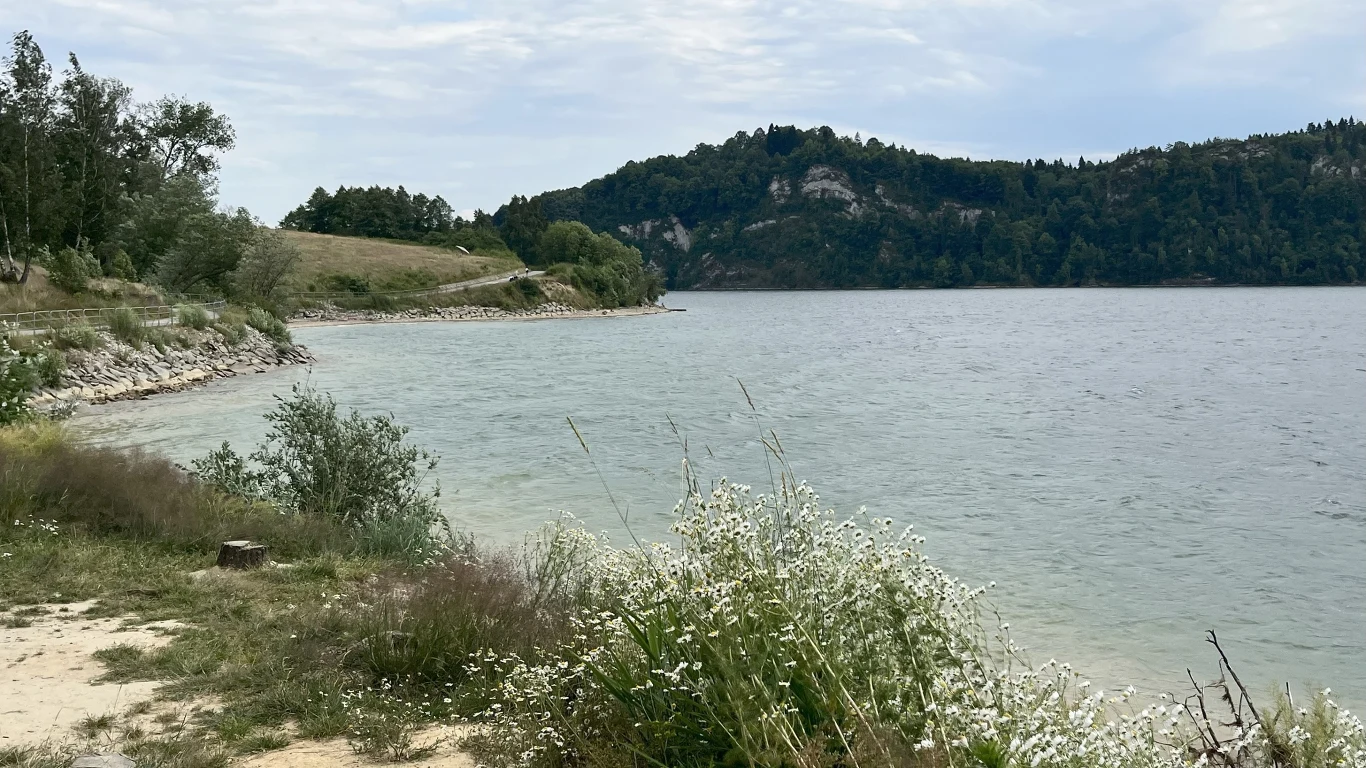 Brzeg jeziora porośnięty trawą i białymi kwiatami, przechodzący w szeroką taflę wody otoczoną zielonymi wzgórzami porośniętymi drzewami pod lekko zachmurzonym niebem.