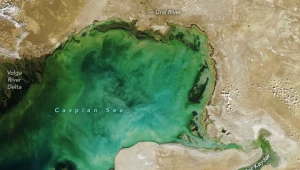 Znika fundamentalny składnik mórz. Oceany są mniej zielone