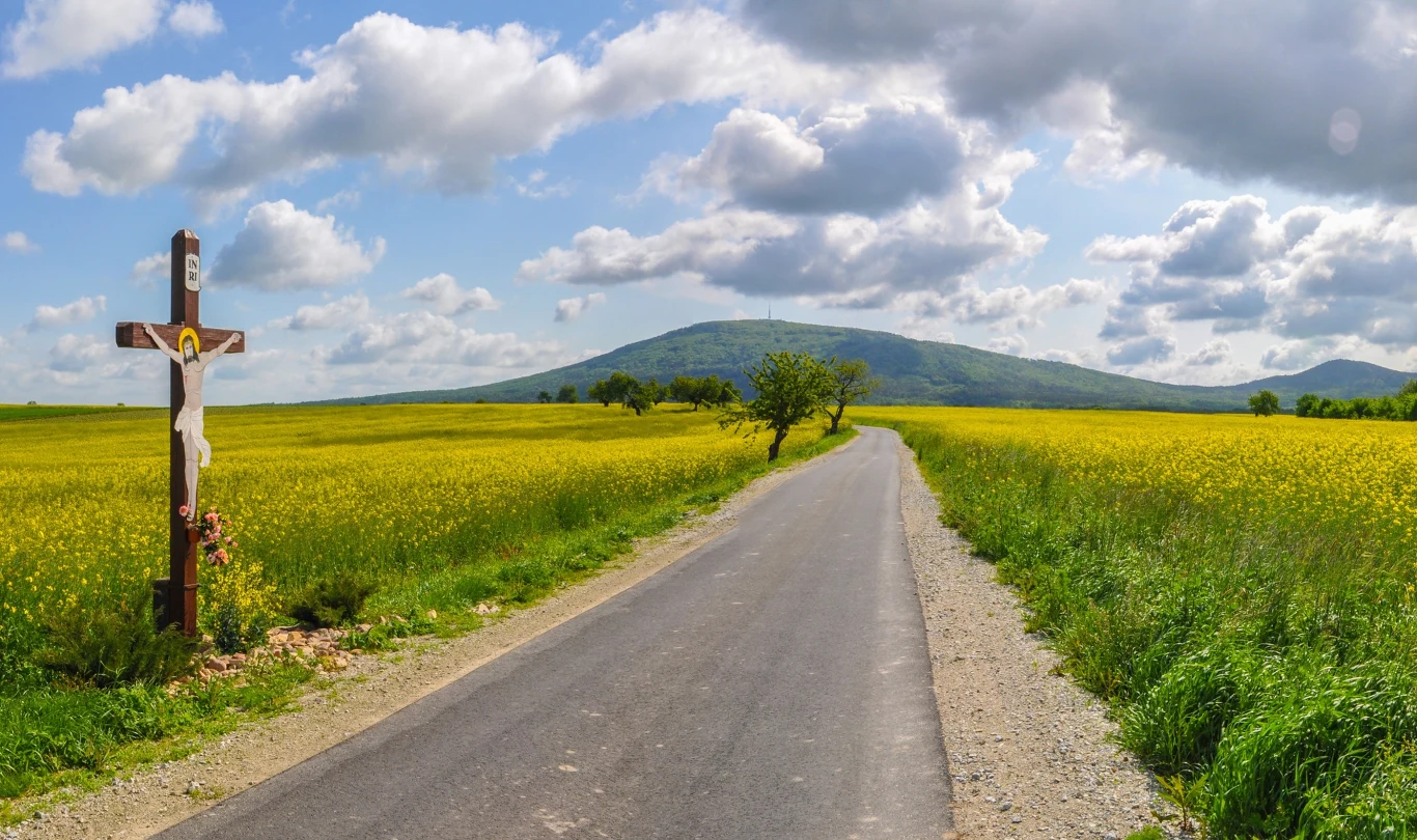 Kiedyś centrum kultu solarnego, dziś Ślęża na szczycie dźwiga kościół. Istnieje teoria, że pod nim mogą znajdować się tajemnicze komnaty, a w nich - Święty Graal. Asfaltowa droga biegnąca przez żółte pola, wśród których znajduje się przydrożny krzyż z postacią Jezusa, samotne drzewo przy drodze oraz wzgórze w tle, całość pod niebem z licznymi chmurami.