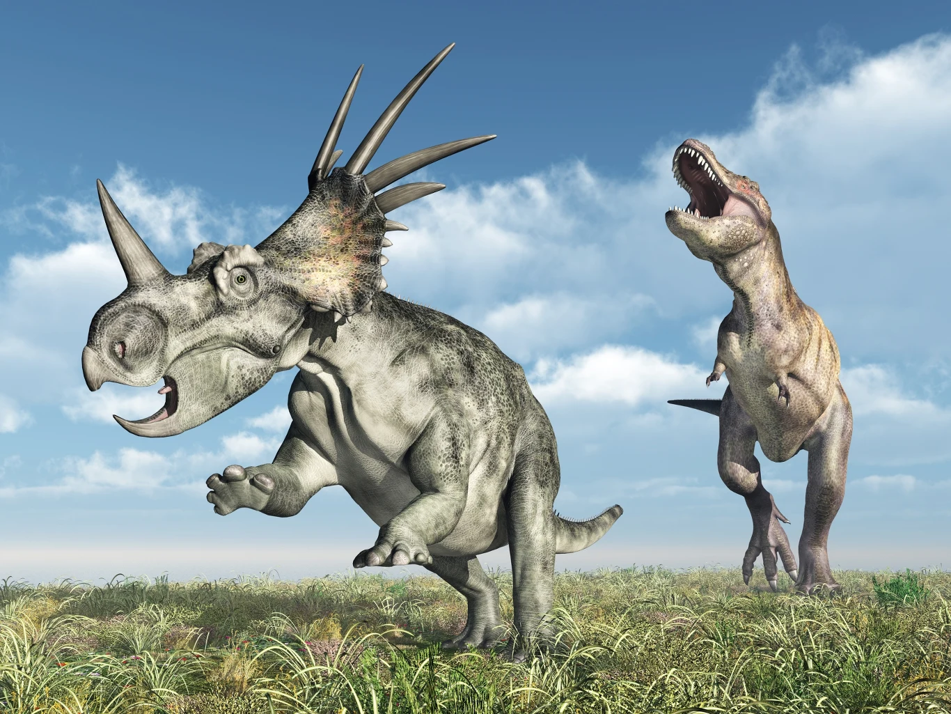 Tyranozaur atakujący styrakozaura. Dinozaury rogate były ważną częścią jego jadłospisu Dwa dinozaury na otwartej prerii, triceratops biegnie z przodu, a za nim podąża goniący tyranozaur z szeroko otwartą paszczą, na tle błękitnego nieba i kilku chmur.