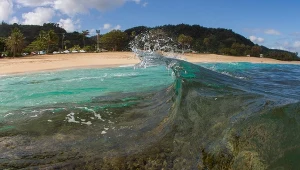 Turyści odpoczywających na Hawajach zostali ostrzeżeni, aby nie jedli surowej żywności 