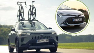 Toyota Corolla Tour de Pologne. Limitowana wersja już w Polsce