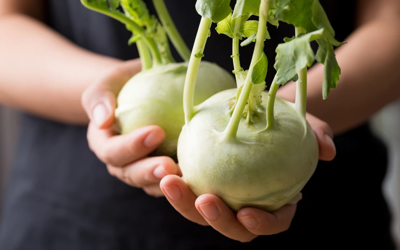 Kalarepa to jedno z najzdrowszych warzyw. Świetnie działa na organizm 