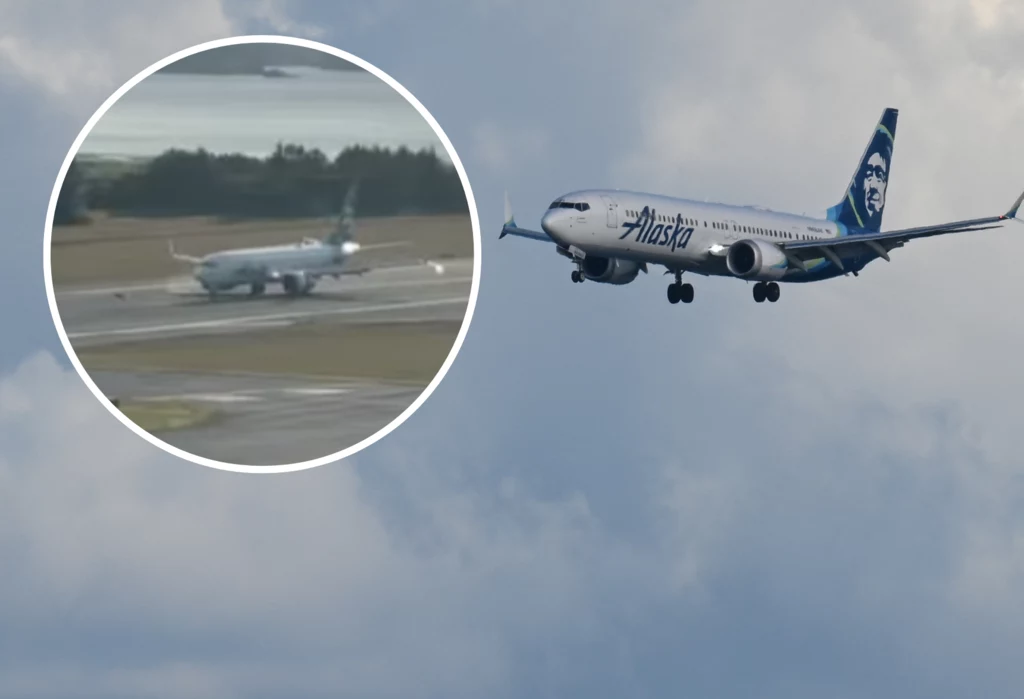 Wypadek na lotnisku Kodiak. Samolot zderzył się z trzema jeleniami Wypadek na lotnisku Kodiak. Samolot zderzył się z trzema jeleniami