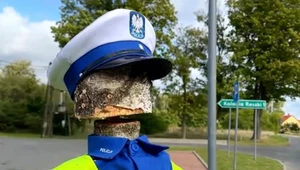 Zbudowali własnego policjanta. Kierowcy zwalniali, ale figura musiała zniknąć
