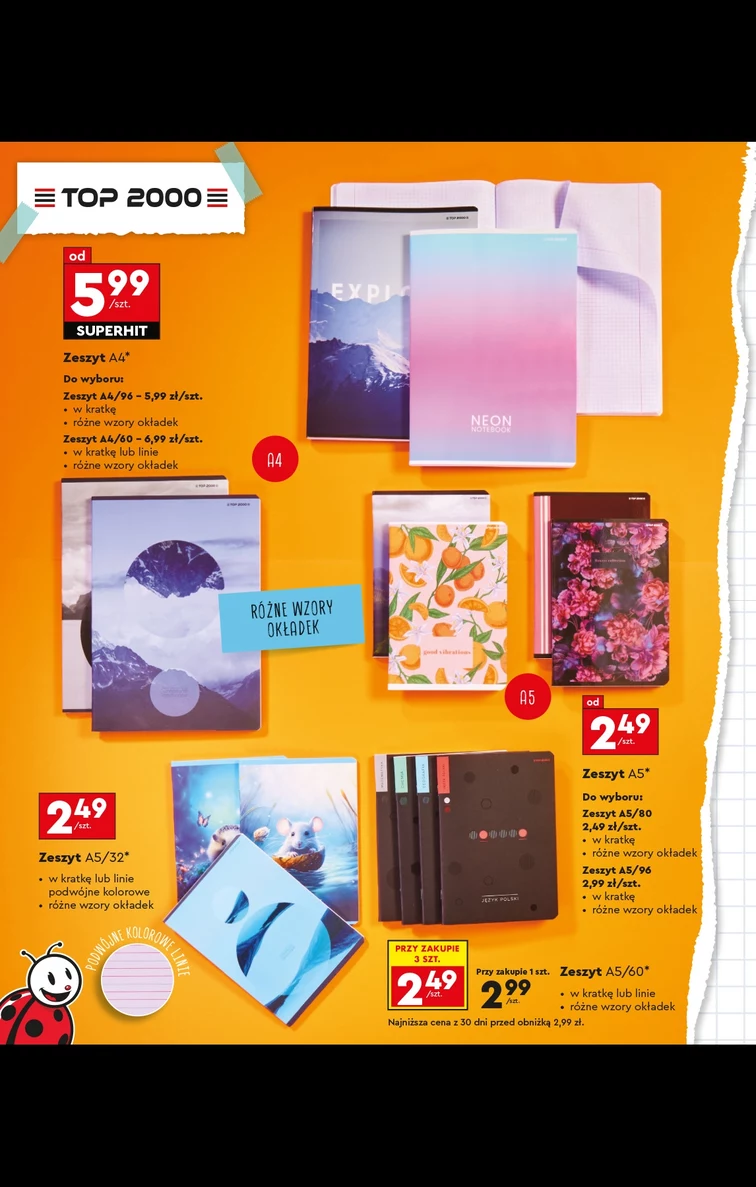 leaflet page preview image