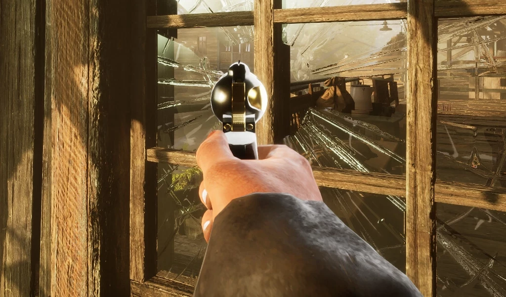 Wild West: Prototype