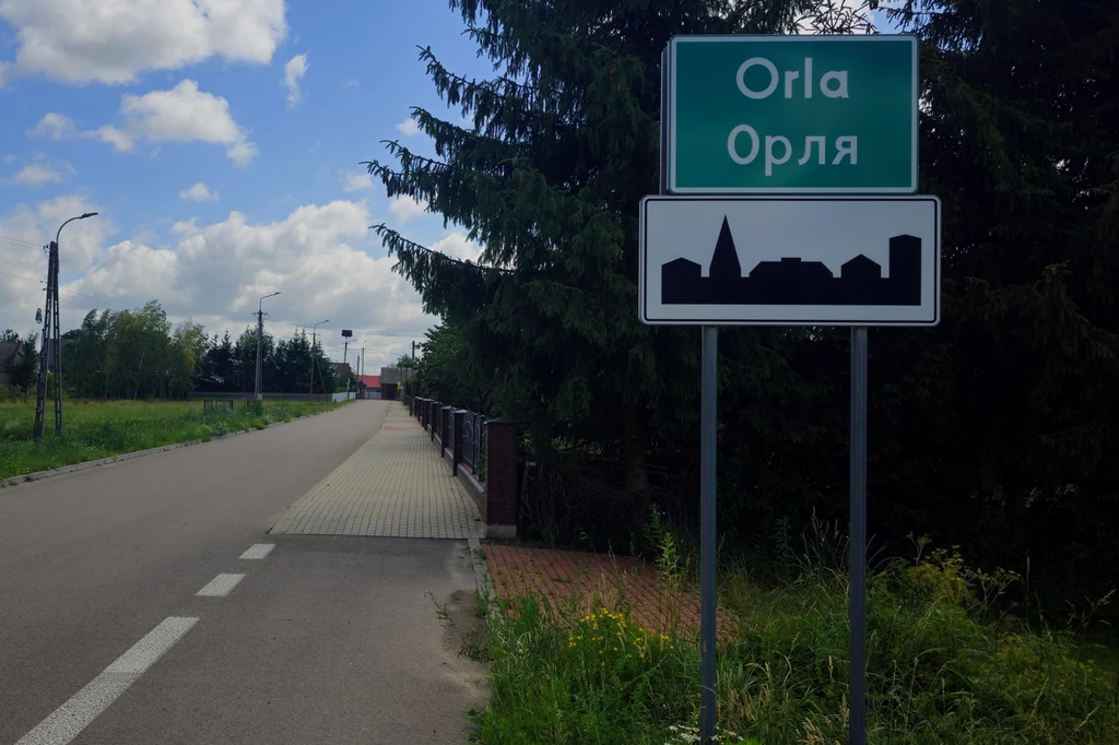 Tablica informacyjna z nazwą miejscowości Orla w języku polskim i cyrylicą, obok droga prowadząca do miasta oraz zielone otoczenie z dużymi drzewami po prawej stronie.