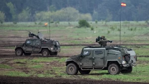 USA planują redukcję sił w Europie? Ten kraj ma najwięcej powodów do obaw