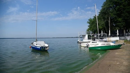 Jezioro Turawskie pokryło się glonami