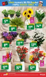 Superhity w POLOmarket