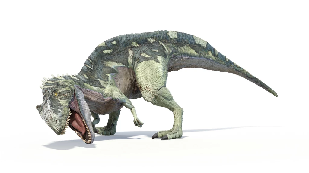 Duży dinozaur karnotaur z charakterystycznymi rogami nad oczami, otwartą paszczą i silnymi kończynami, ustawiony na białym tle w dynamicznej pozycji