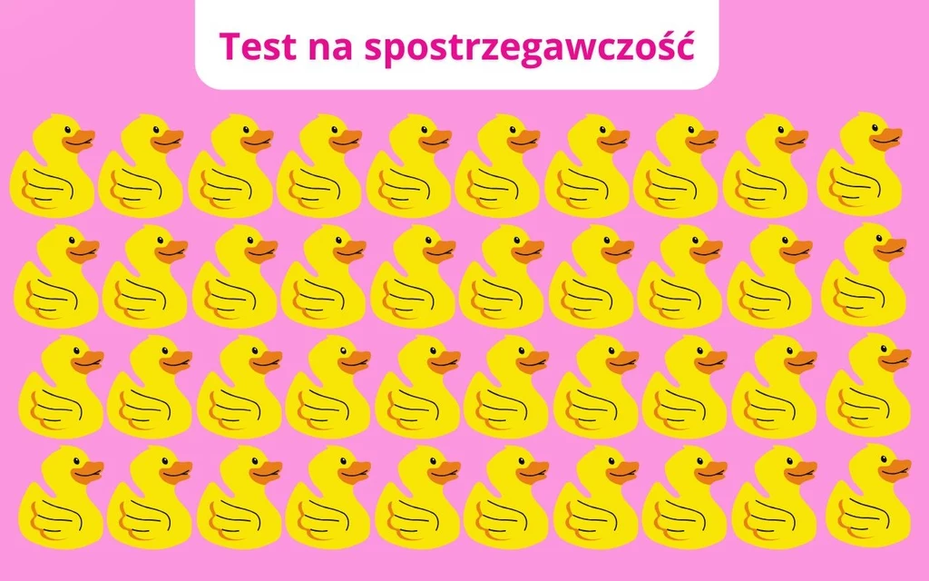 Test na spostrzegawczość: Jak szybko dostrzeżesz różnicę na obrazku? Test na spostrzegawczość: Jak szybko dostrzeżesz różnicę na obrazku?