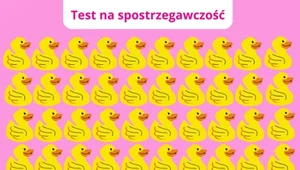 Tylko bystre oko zauważy to, co inni przeoczą. Podejmiesz wyzwanie?