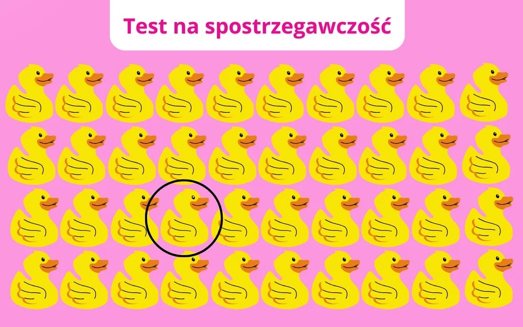 Rozwiązanie zagadki Rysunek żółtych kaczek ułożonych w rzędach na różowym tle, jedna z kaczek oznaczona czarnym okręgiem wyróżnia się szczegółem różniącym ją od pozostałych.