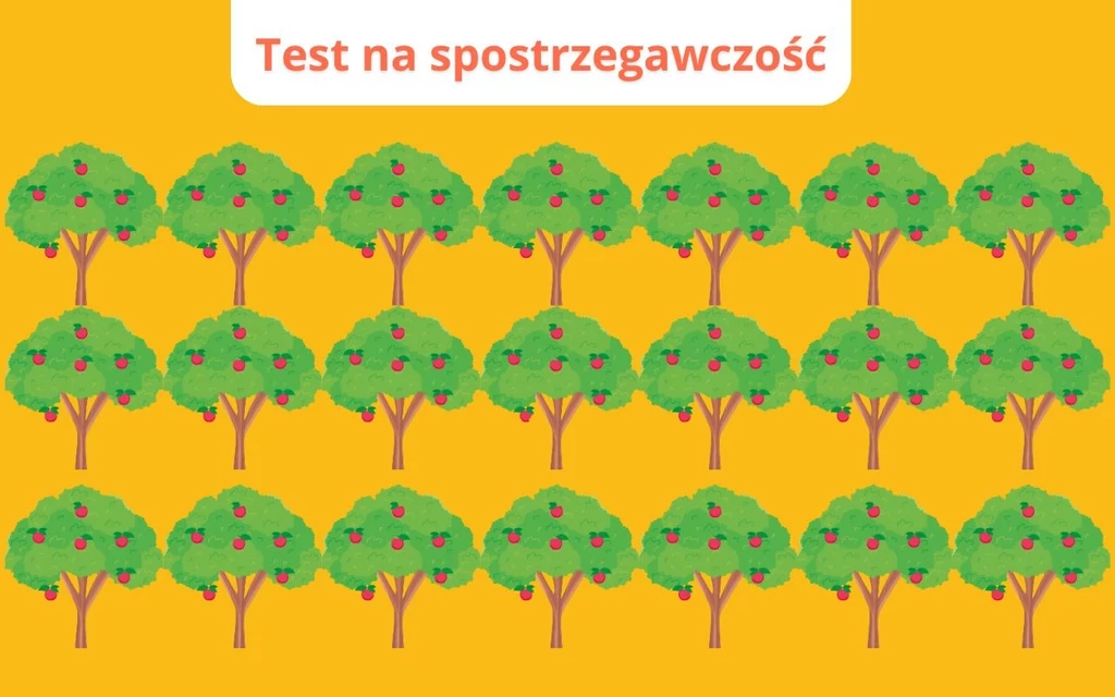 Test na spostrzegawczość: Które drzewo jest inne? Test na spostrzegawczość: Które drzewo jest inne?