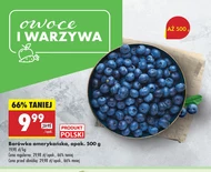 Borówka amerykańska Katarzyna Stoparczyk