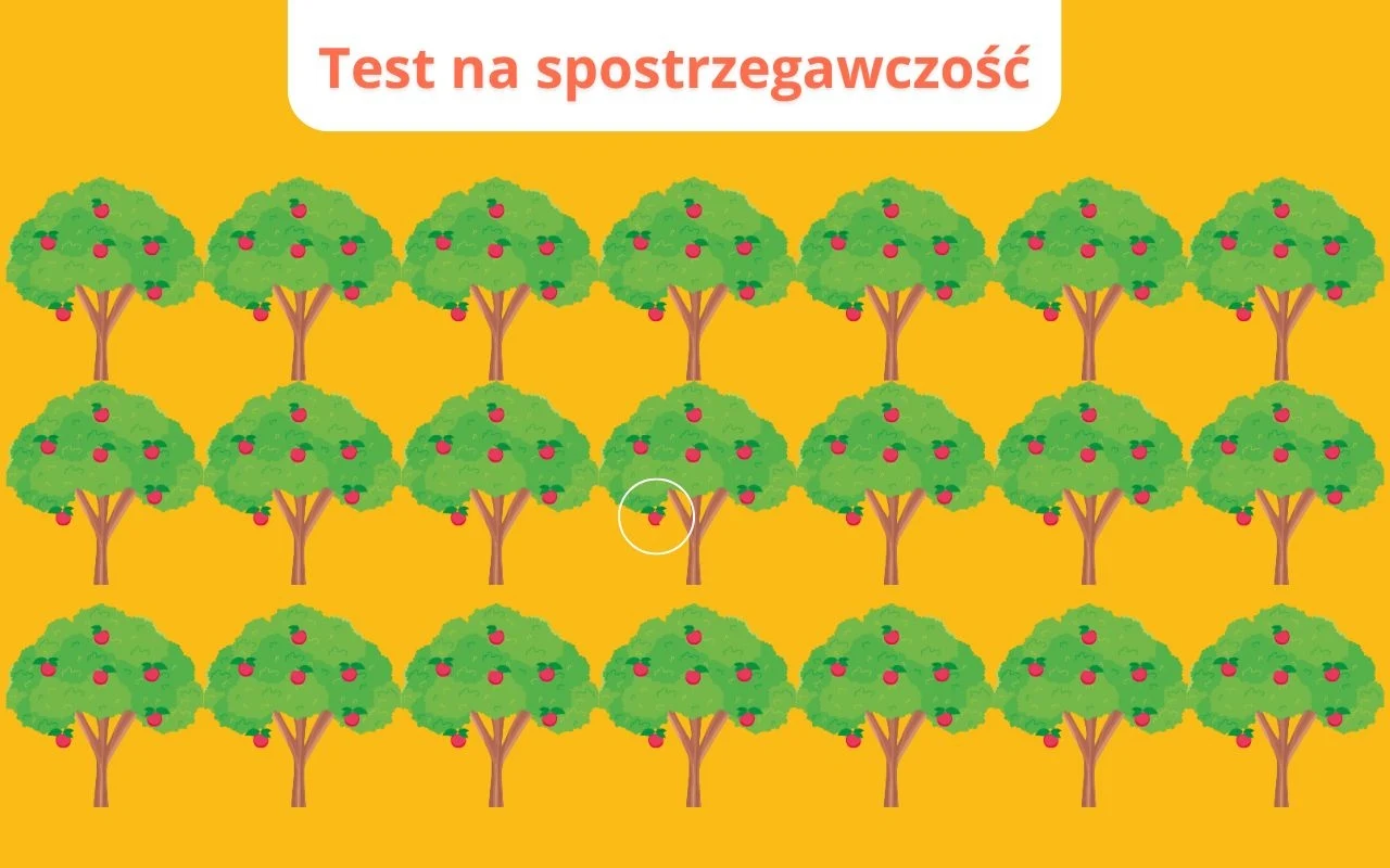 Ilustracja kolorowych drzew owocowych ustawionych w rzędach na żółtym tle, z napisem 'Test na spostrzegawczość' na górze, jedno drzewo wyróżnia się mniejszą ilością owoców.